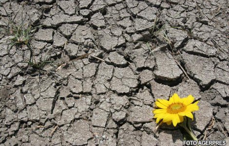 In plina criza, ne loveste seceta!