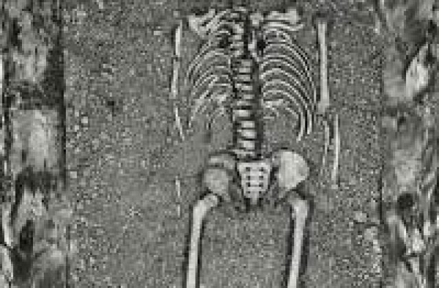 Studiu: Homo erectus traia alaturi de alte specii de hominizi