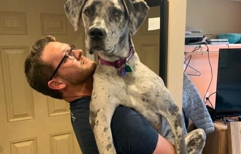  Top  10 ipostaze amuzante in care stapanii si-au surprins animalele