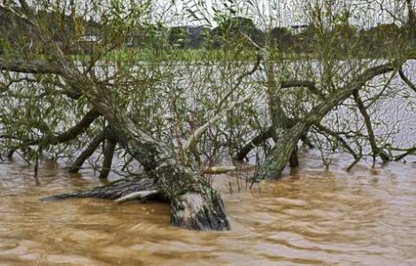 VIDEO: Intre exagerare si adevar: Bangladesh si Washington vor fi inghitite de ape