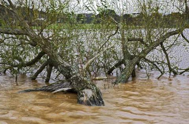 VIDEO: Intre exagerare si adevar: Bangladesh si Washington vor fi inghitite de ape