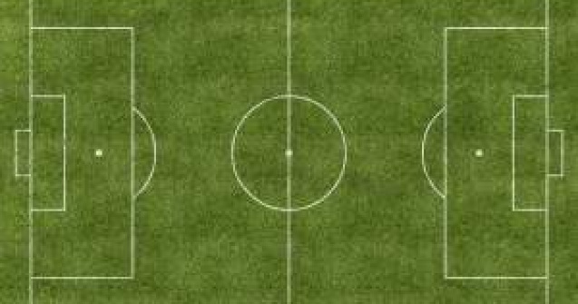 Steaua s-a calificat in Europa League