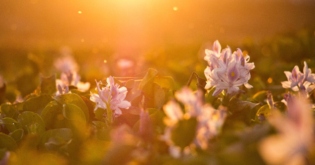 Informare meteo: Disconfort termic accentuat in aproape toata tara pana vineri