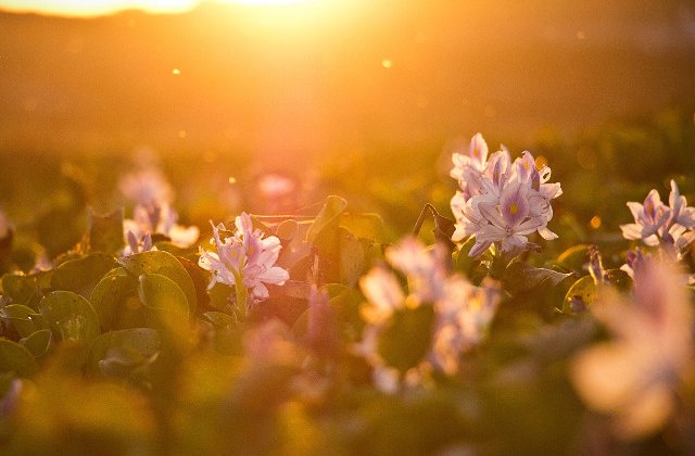 Informare meteo: Disconfort termic accentuat in aproape toata tara pana vineri