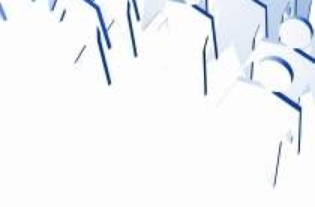 Datele provizorii pentru recensamant ar putea fi validate luni