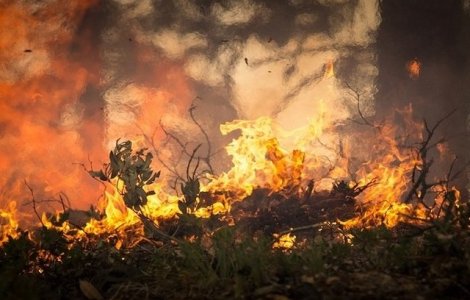Sute de turisti din Grecia au fost evacuati din hoteluri si de pe plaje, din cauza unui incendiu de padure