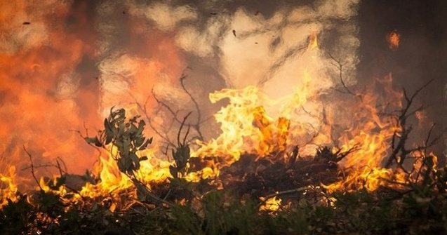 Sute de turisti din Grecia au fost evacuati din hoteluri si de pe plaje, din cauza unui incendiu de padure