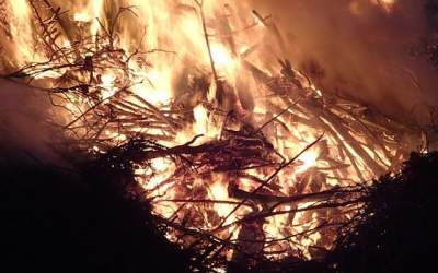 Aproape un milion de hectare...