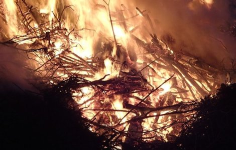 Aproape un milion de hectare au fost distruse, in urma incendiului din Bolivia