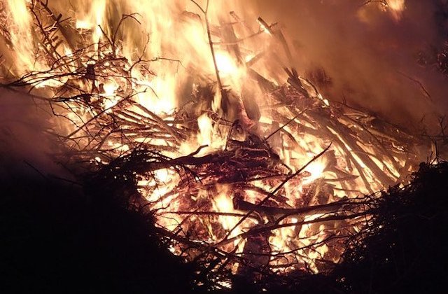 Aproape un milion de hectare au fost distruse, in urma incendiului din Bolivia