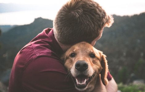 Ziua Internationala a Cainelui, cel mai bun prieten al omului