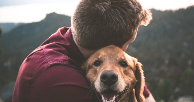Ziua Internationala a Cainelui, cel mai bun prieten al omului