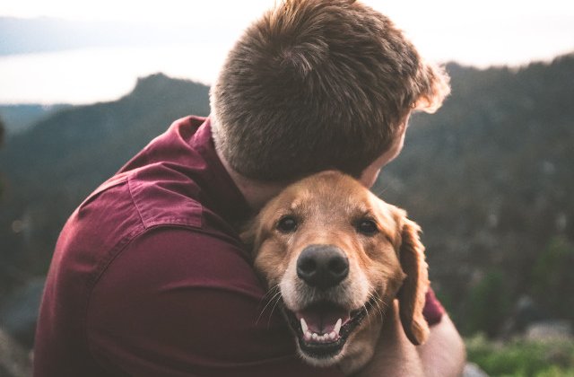 Ziua Internationala a Cainelui, cel mai bun prieten al omului