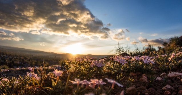 Prognoza meteo pana pe 8 septembrie. Vreme calduroasa cu temperaturi de pana la 34 de grade