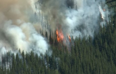 Ministrul apararii din Brazilia sustine ca incendiile din Amazonia sunt sub control