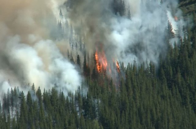 Ministrul apararii din Brazilia sustine ca incendiile din Amazonia sunt sub control