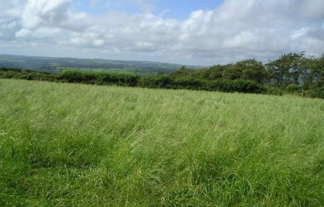 Meteo: Cum va fi vremea in weekend?