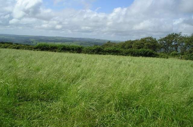 Meteo: Cum va fi vremea in weekend?