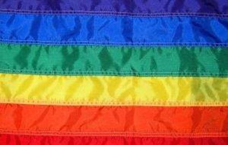  Top  Cinci vedete care si-au recunoscut homosexualitatea in 2012
