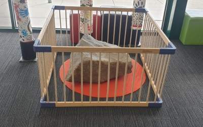 9 imagini care demonstreaza...