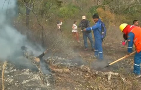 Presedintele Boliviei s-a pierdut o ora in jungla in timp ce ii insotea pe pompierii care se luptau cu un incendiu de padure/ VIDEO