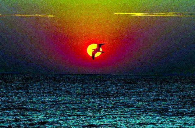 Dragostea de HAIKU, dragostea de Japonia la malul Marii Negre