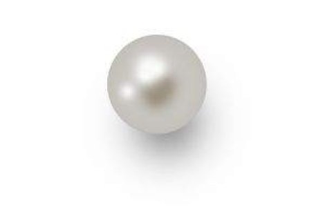 O stridie fosilizata ascunde perla cat o minge de golf