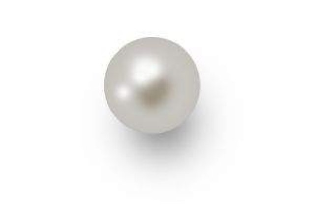 O stridie fosilizata ascunde perla cat o minge de golf