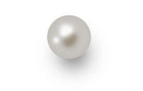 O stridie fosilizata ascunde perla cat o minge de golf