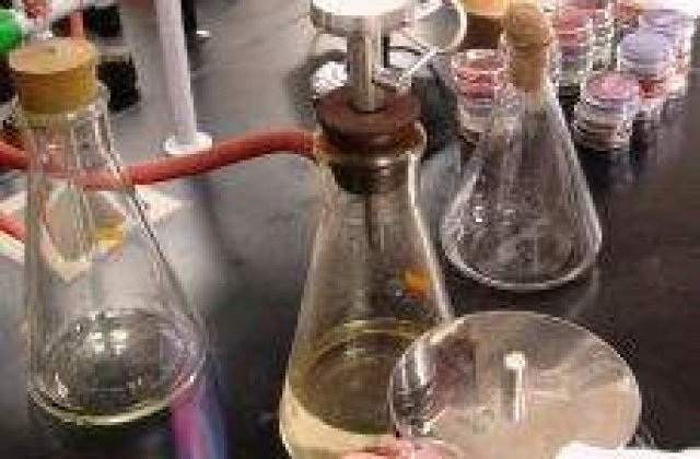 Rusia renunta la armele chimice pana la sfarsitul lui 2015