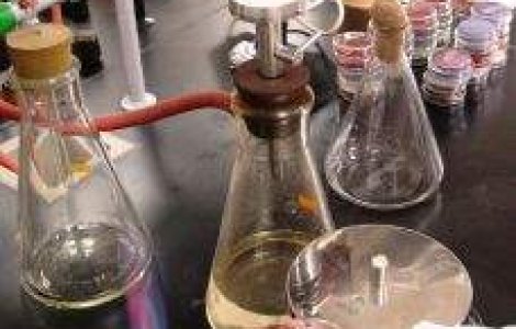 Rusia renunta la armele chimice pana la sfarsitul lui 2015