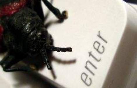 Un nou program malware face ravagii. Cum sa va protejati calculatorul?