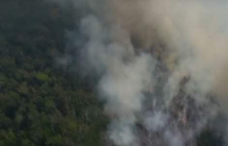 Revolut introduce posibilitatea de a dona direct din aplicatie pentru padurea amazoniana