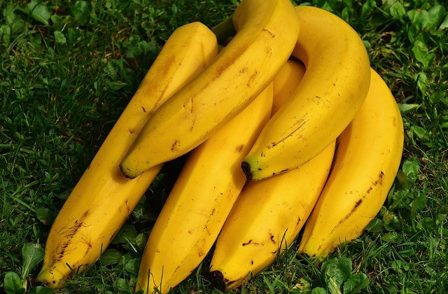 Studiu: Schimbarile climatice, o amenintare la adresa recoltelor de banane