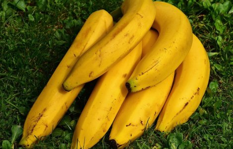 Studiu: Schimbarile climatice, o amenintare la adresa recoltelor de banane