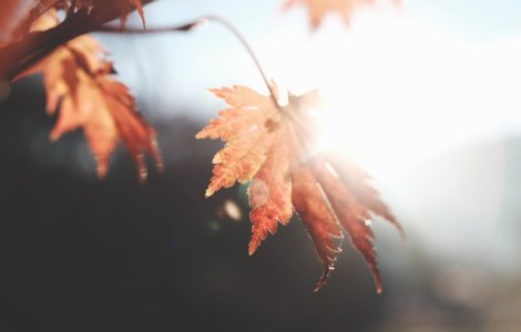 Se raceste vremea treptat, in septembrie. Temperaturile vor ajunge la nivelul normal pentru inceputul toamnei