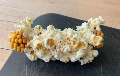  Top  10+ lucruri neobisnuite pe care nu le vezi in fiecare zi