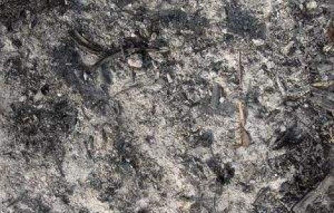 Incendiu de vegetatie in Spania: Peste 10 mii de hectare distruse