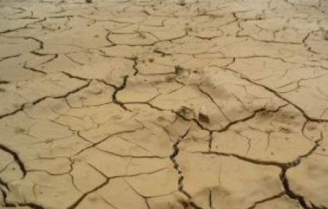 Seceta a afectat aproximativ 40% din suprafata arabila a Romaniei