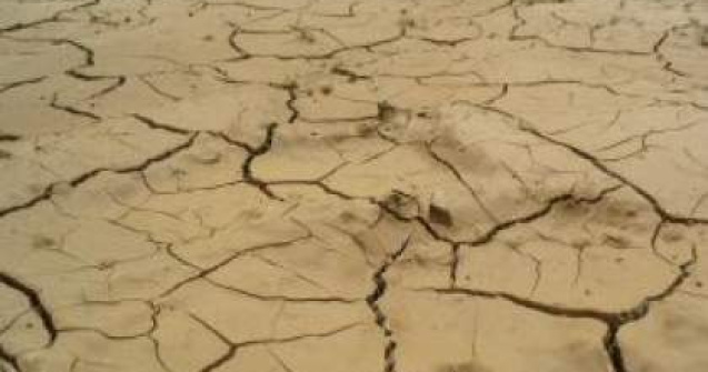Seceta a afectat aproximativ 40% din suprafata arabila a Romaniei