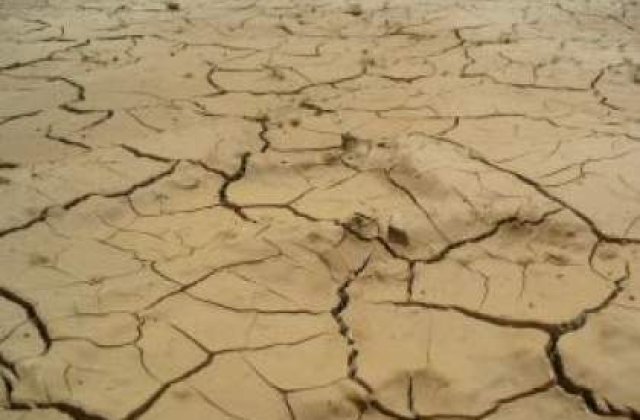 Seceta a afectat aproximativ 40% din suprafata arabila a Romaniei