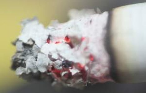 Tasmania va interzice fumatul celor nascuti dupa 2000