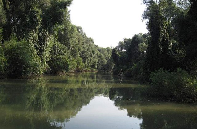 Doua persoane au fost ranite in urma unui accident naval in Delta Dunarii
