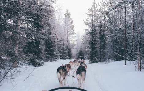 Finlanda, desemnata cea mai buna destinatie de calatorie in salbaticie a anului 2019