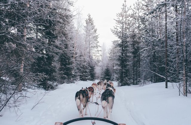 Finlanda, desemnata cea mai buna destinatie de calatorie in salbaticie a anului 2019