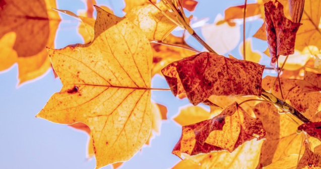 ANM: Prima luna de toamna vine cu vreme calda si precipitatii reduse