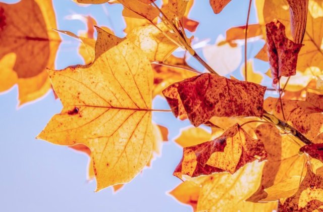 ANM: Prima luna de toamna vine cu vreme calda si precipitatii reduse