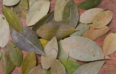 Cocaina in bauturile energizante