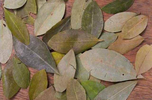 Cocaina in bauturile energizante