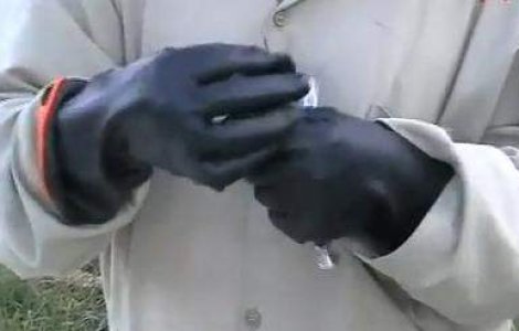 Epidemie de antrax in Rusia